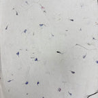 Cornflower Petal Lokta Wrapping Paper | Handmade Botanical Artisan Gift Wrap (51x76cm) __etsy:8019033374