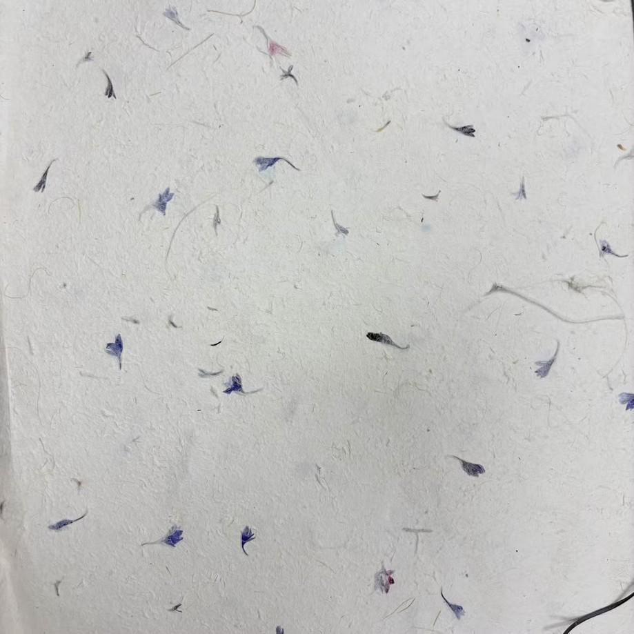 Cornflower Petal Lokta Wrapping Paper | Handmade Botanical Artisan Gift Wrap (51x76cm) __etsy:8019033374