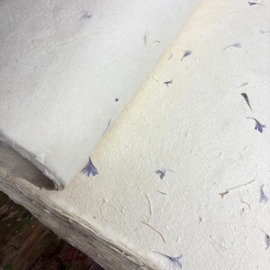 Cornflower Petal Lokta Wrapping Paper | Handmade Botanical Artisan Gift Wrap (51x76cm) __etsy:8066951743