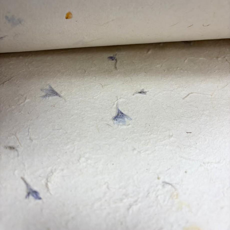 Cornflower Petal Lokta Wrapping Paper | Handmade Botanical Artisan Gift Wrap (51x76cm) __etsy:8066951741